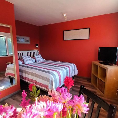 Apartamentos La Casa Del Pintor Cudillero Chambre photo